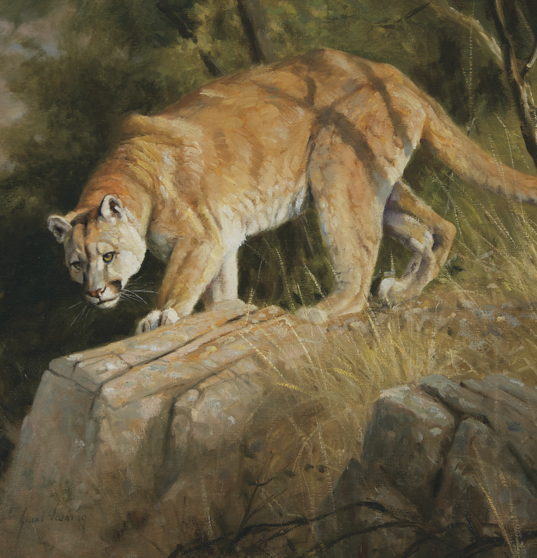 Triumph Calendars Wildlife Art Calendar-2104