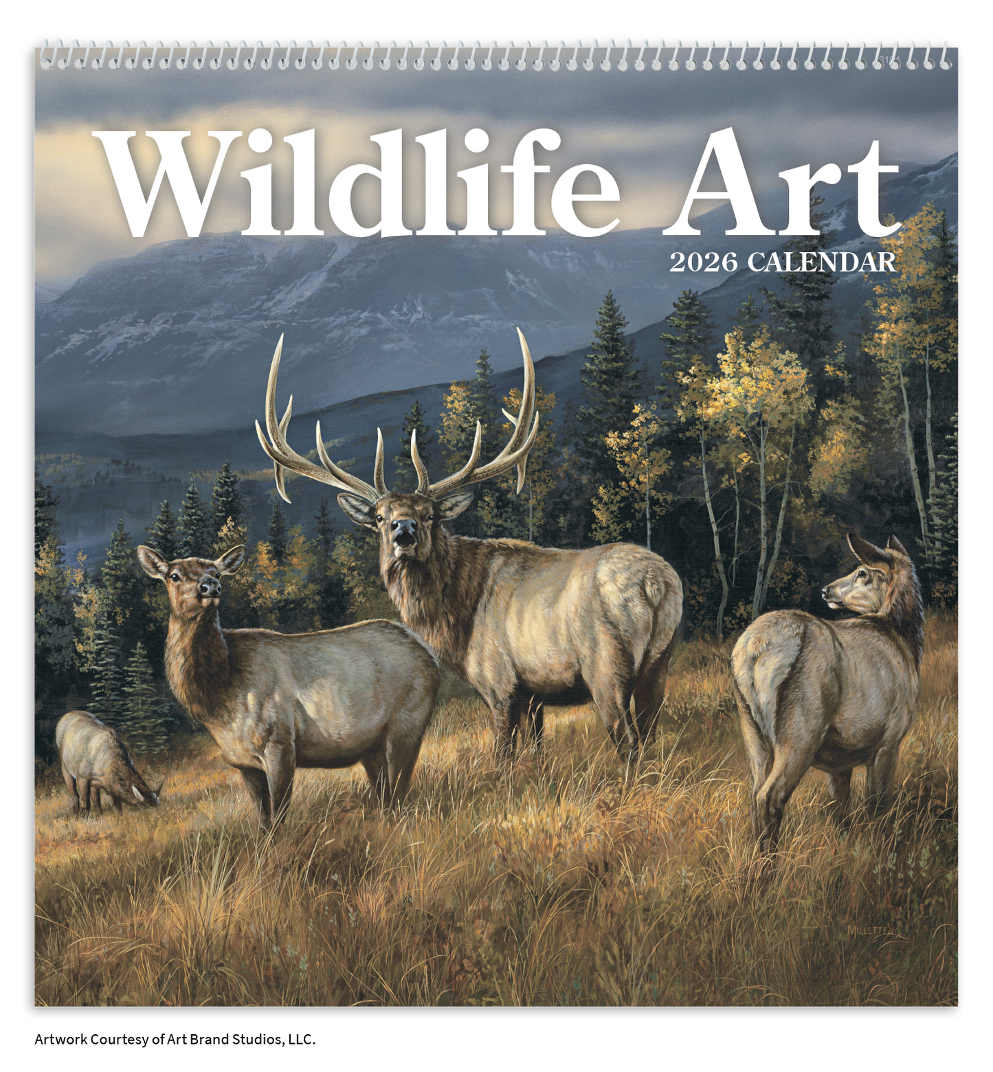 Triumph Calendars Wildlife Art Calendar-2104