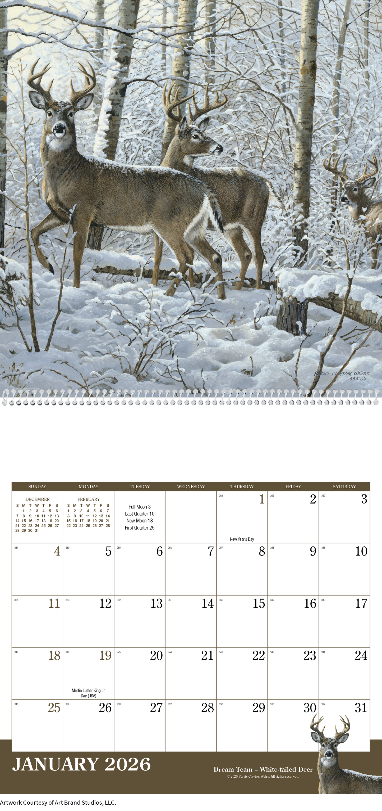Triumph Calendars Wildlife Art Calendar-2104