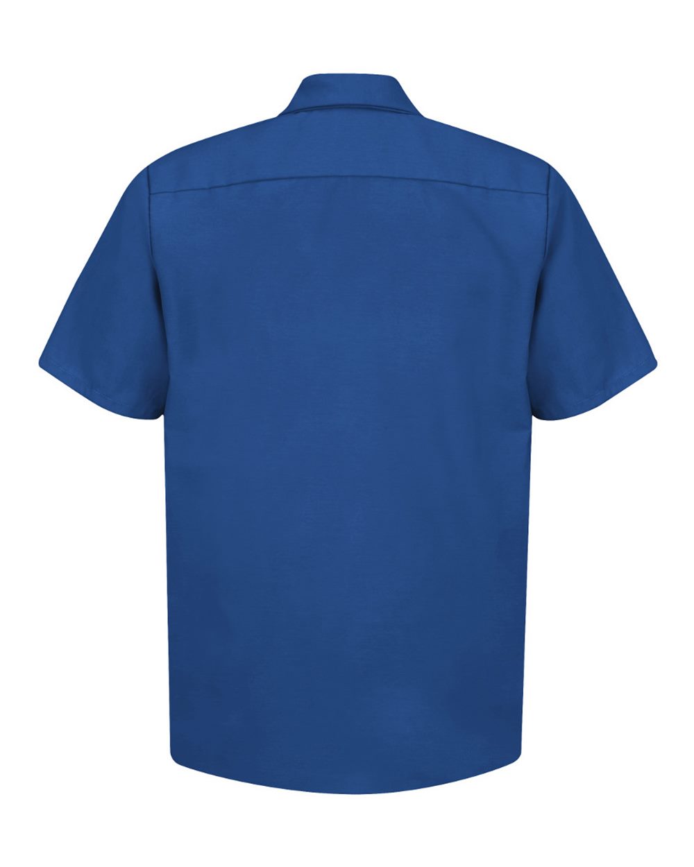 Image for 22086_b_fl.jpg
