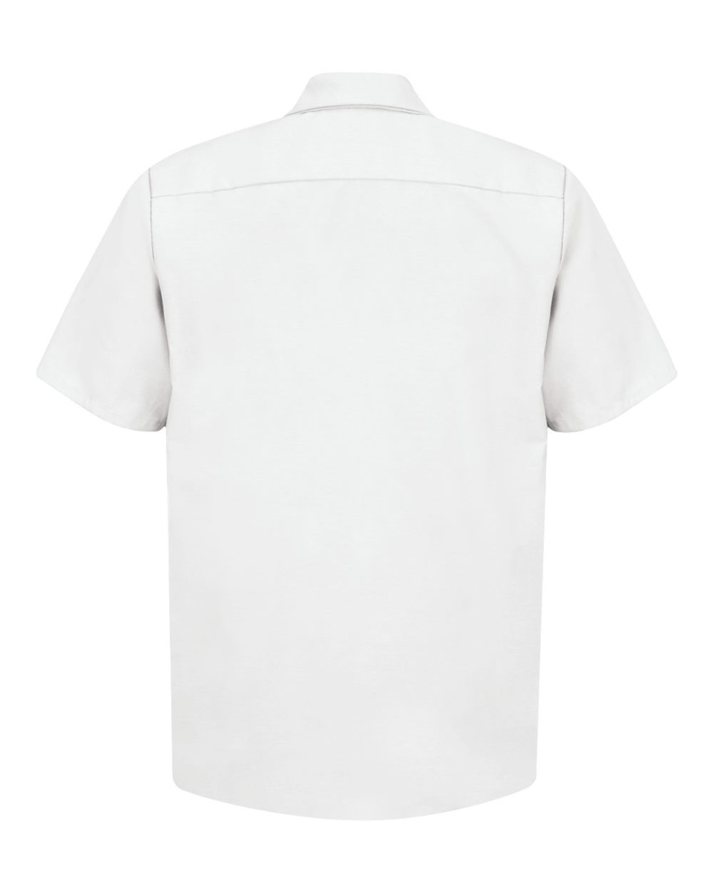Image for 22089_b_fl.jpg