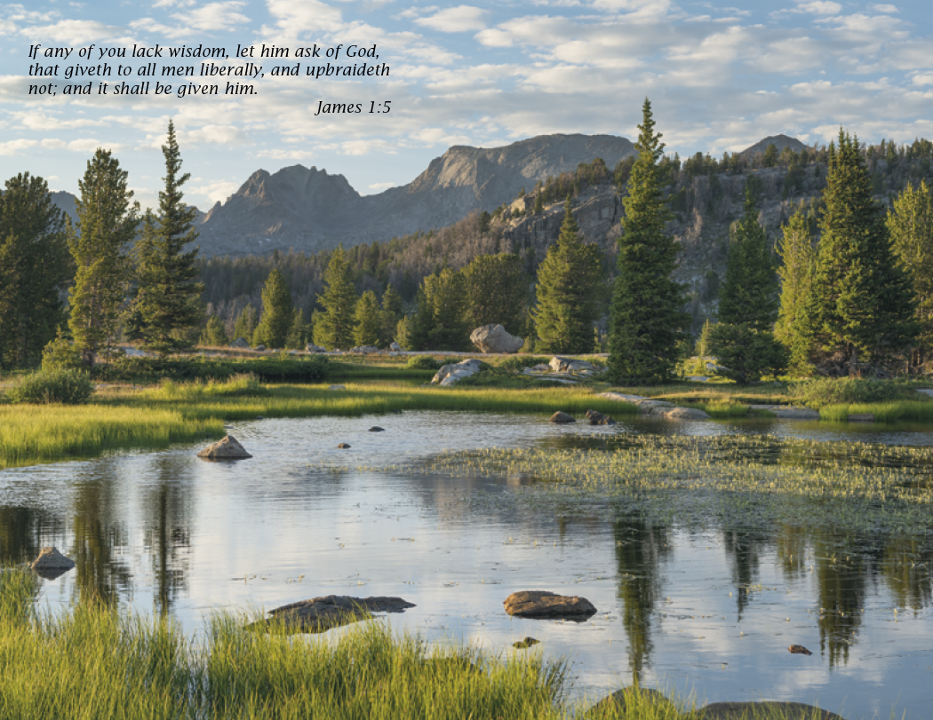Triumph Calendars Bible Passages Calendar-2503