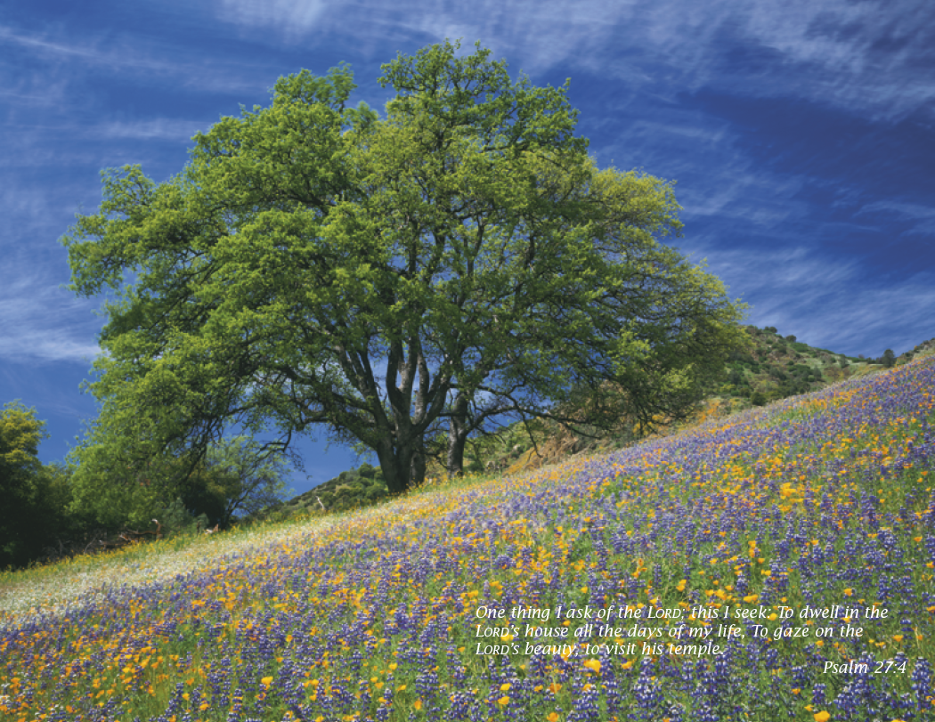 Triumph Calendars Catholic Scenic Calendar-2504