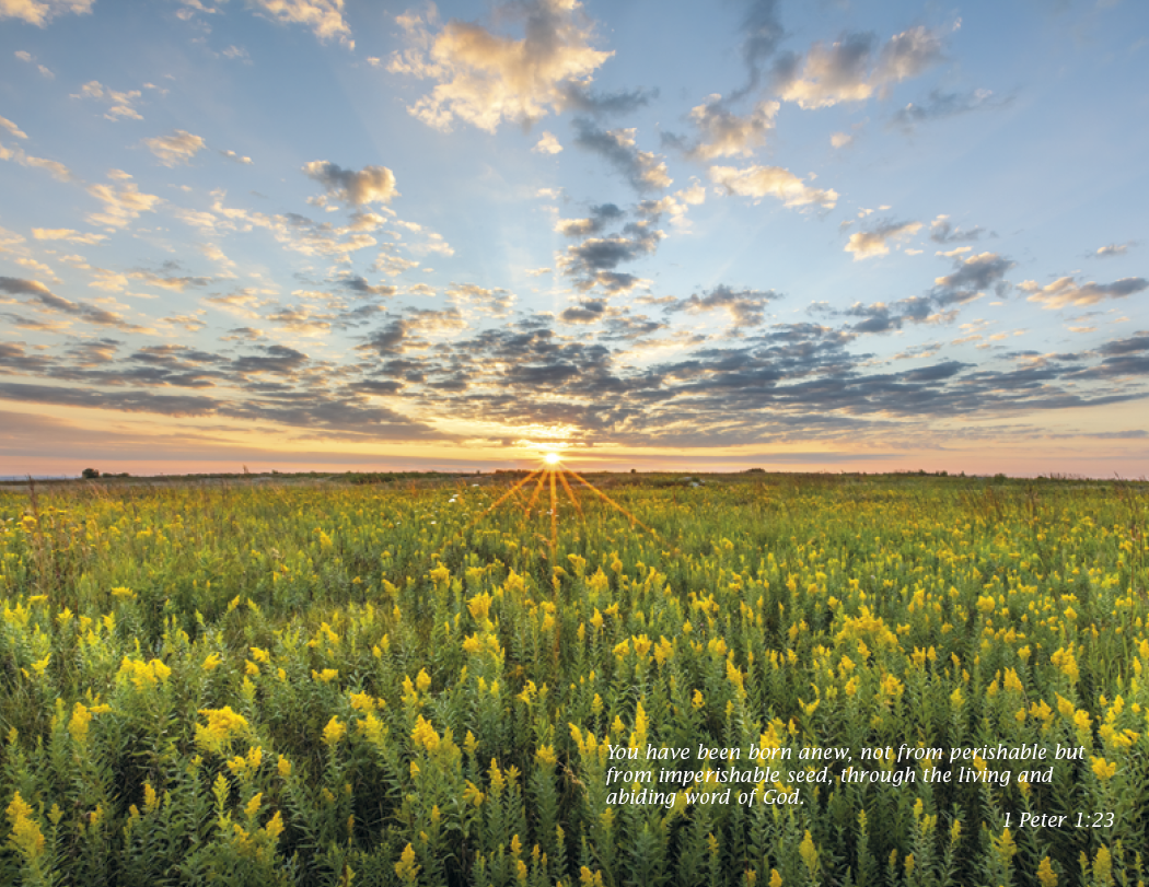 Triumph Calendars Catholic Scenic Calendar-2504