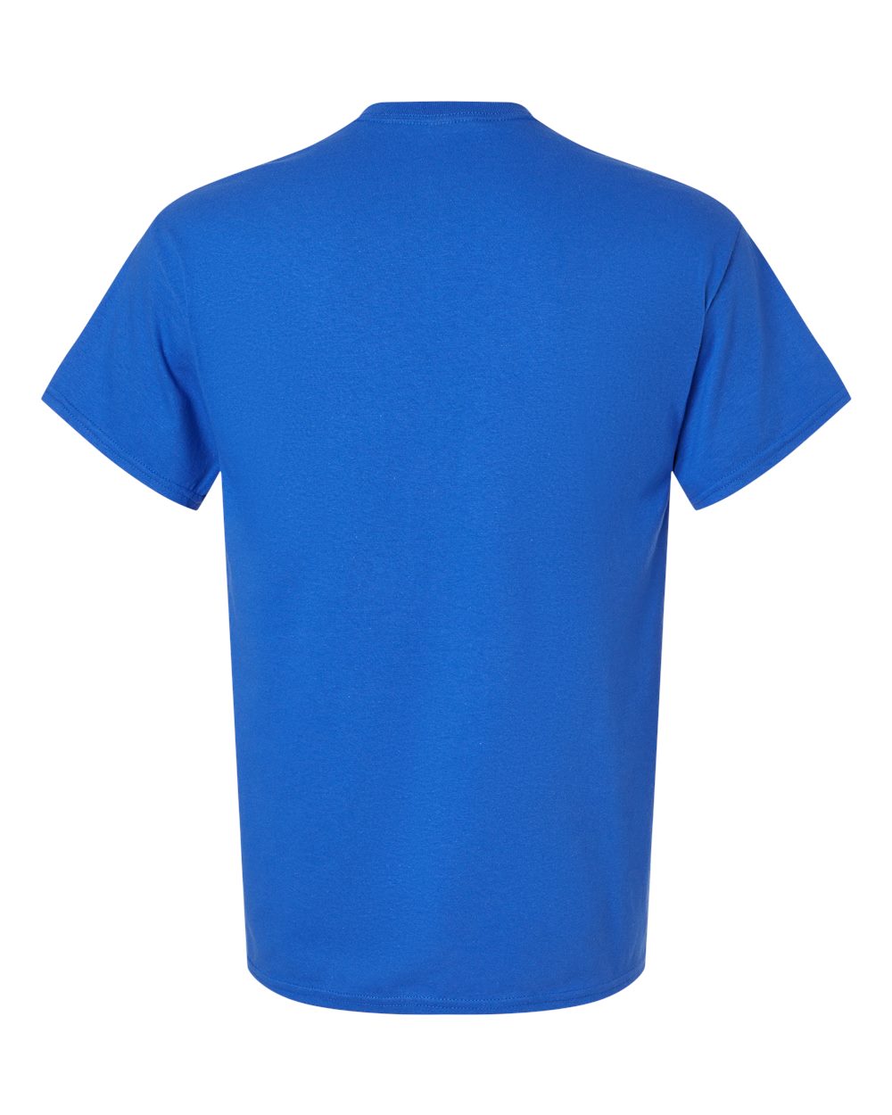 Image for 31033_b_fl.jpg