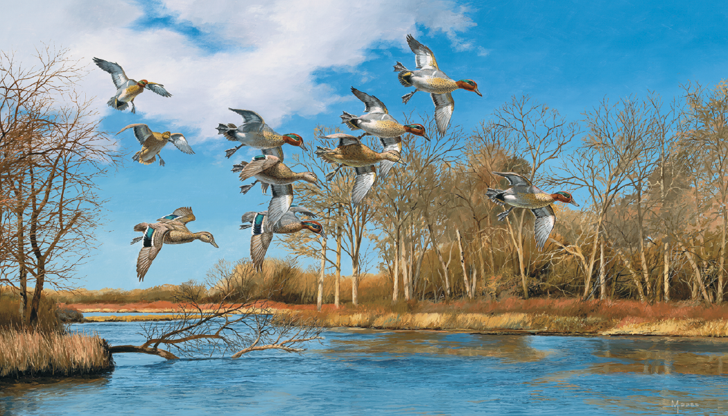 Triumph Calendars North American Waterfowl Calendar-3203