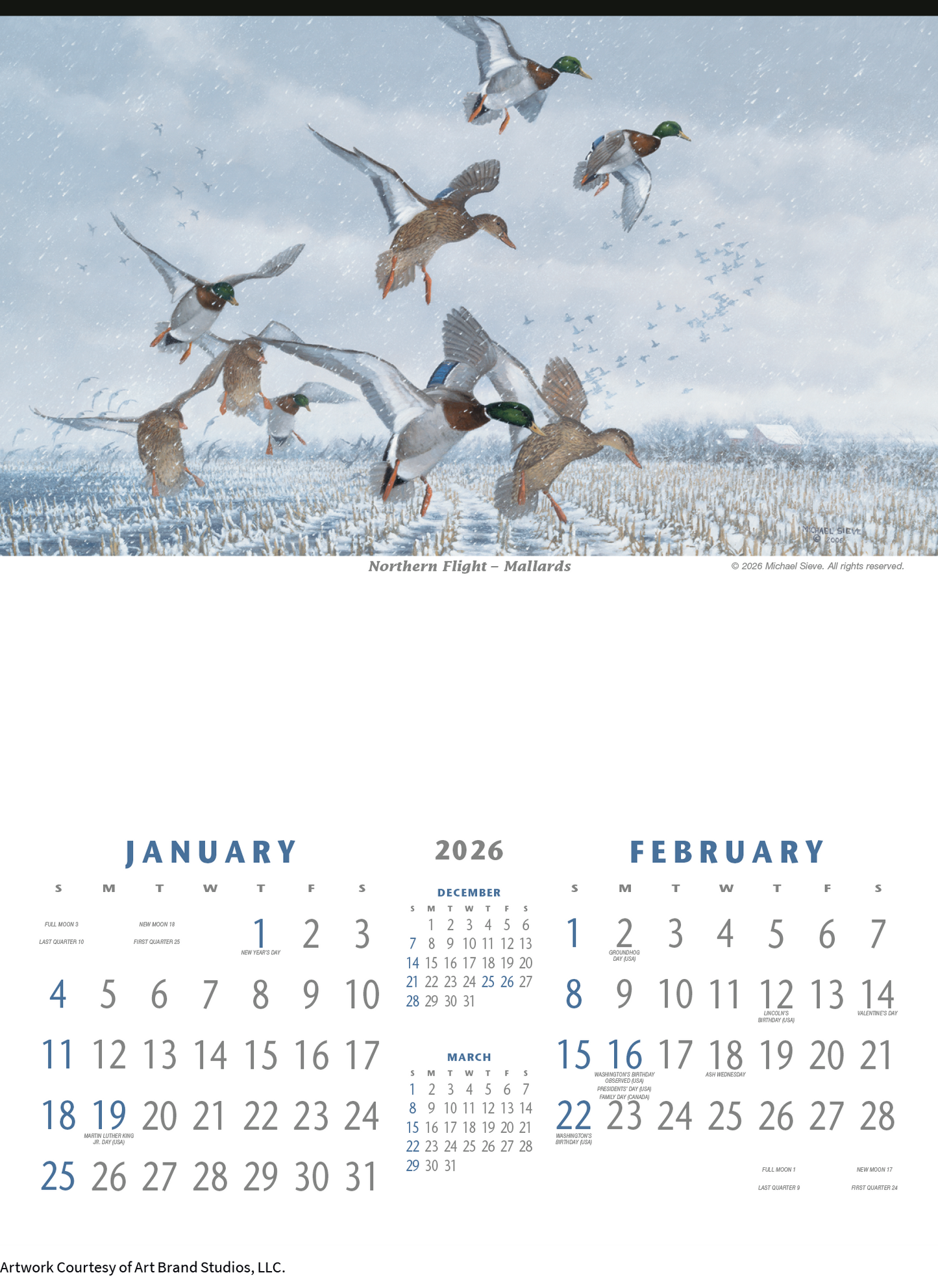 Triumph Calendars North American Waterfowl Calendar-3203