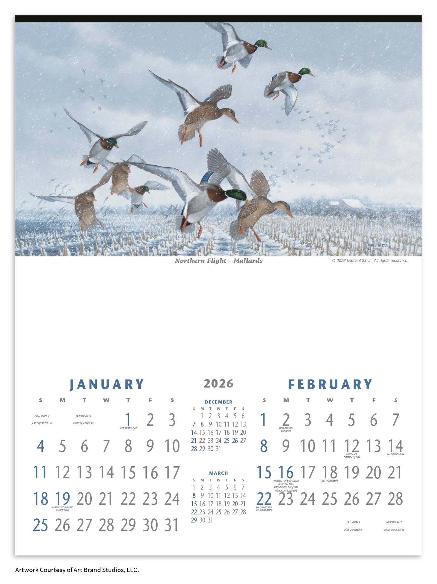 Triumph Calendars North American Waterfowl Calendar-3203