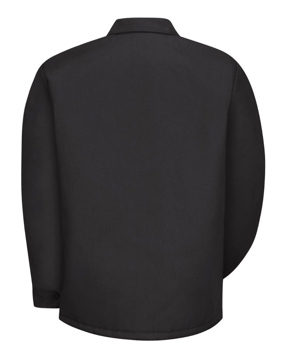 Image for 33008_b_fl.jpg