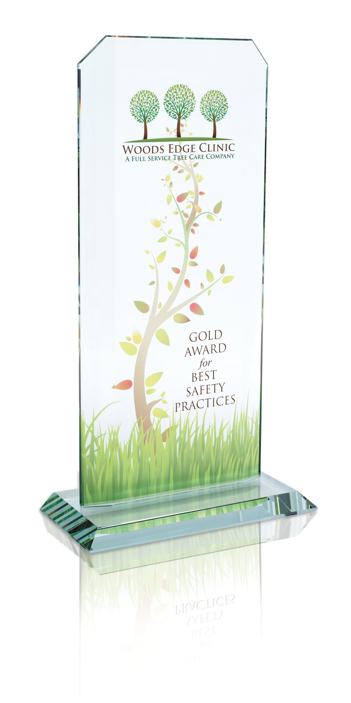 JAFFA Starfire Echo Award  Large-35227