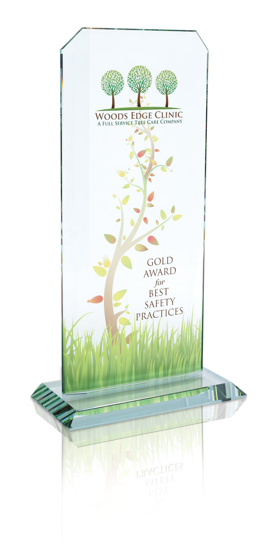 JAFFA Starfire Echo Award  Large-35227