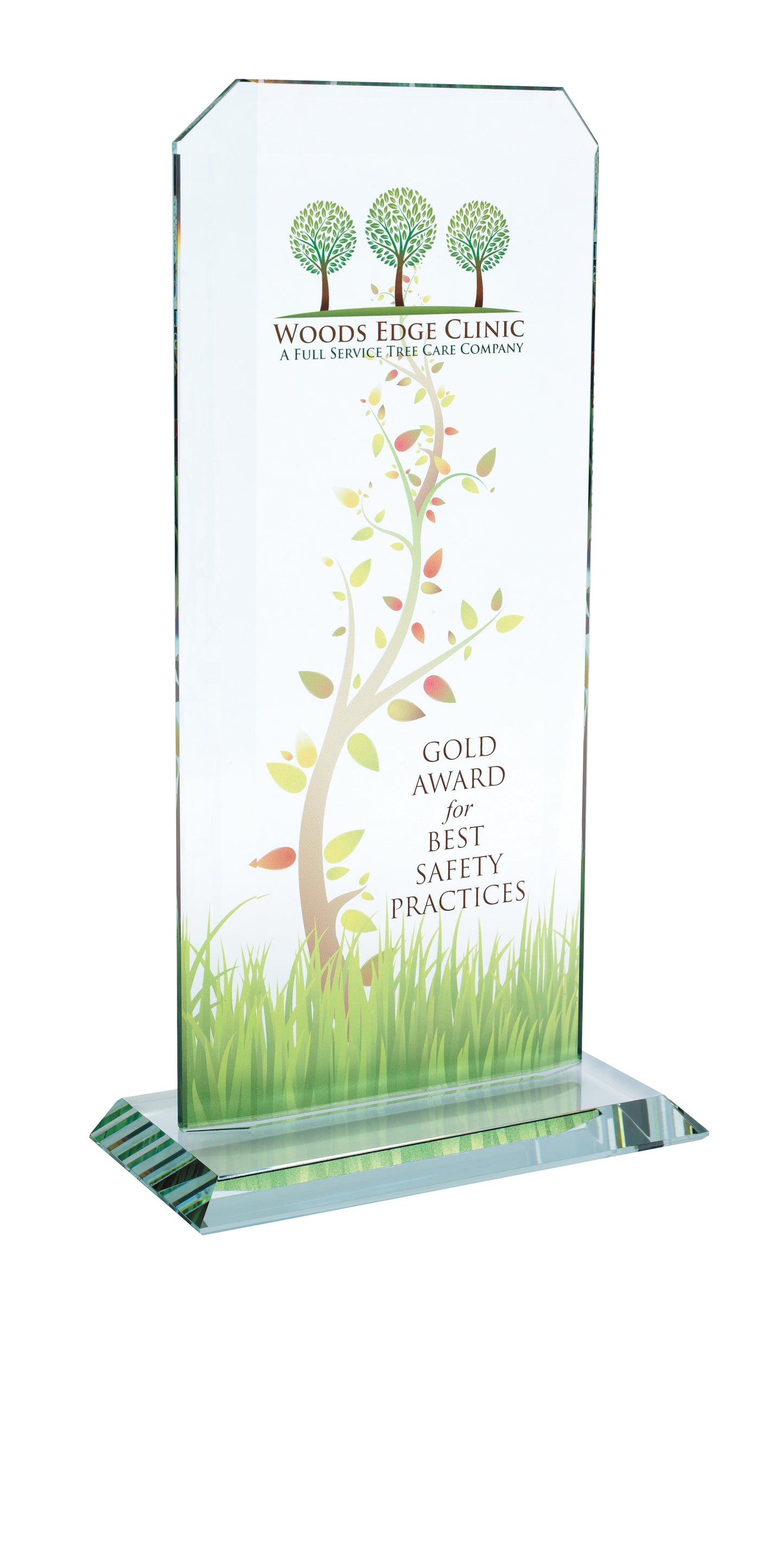 JAFFA Starfire Echo Award  Large-35227