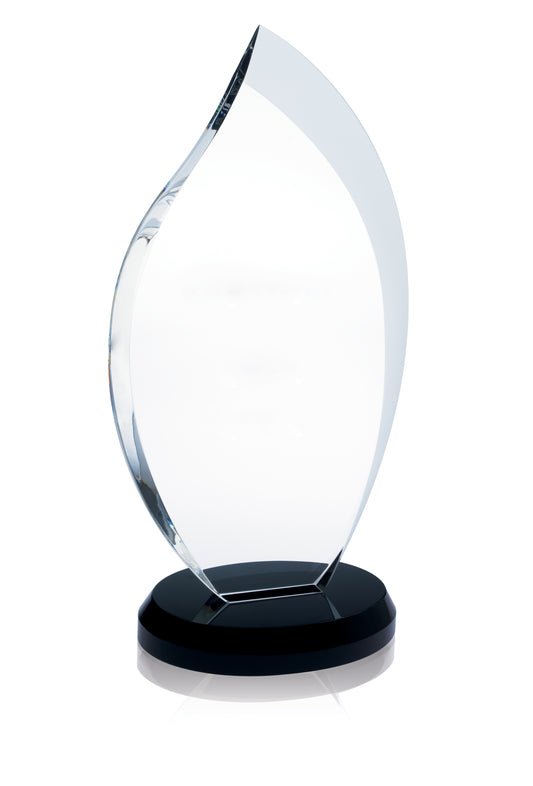 JAFFA Innovation Award  Medium-36363