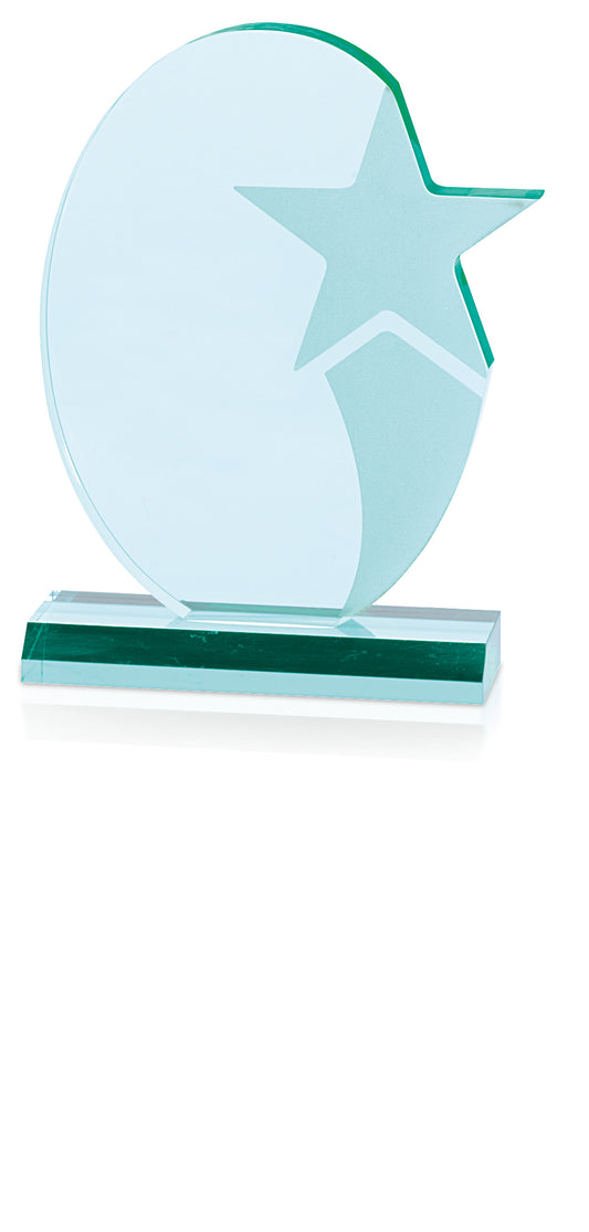 JAFFA Stellar Award-36420