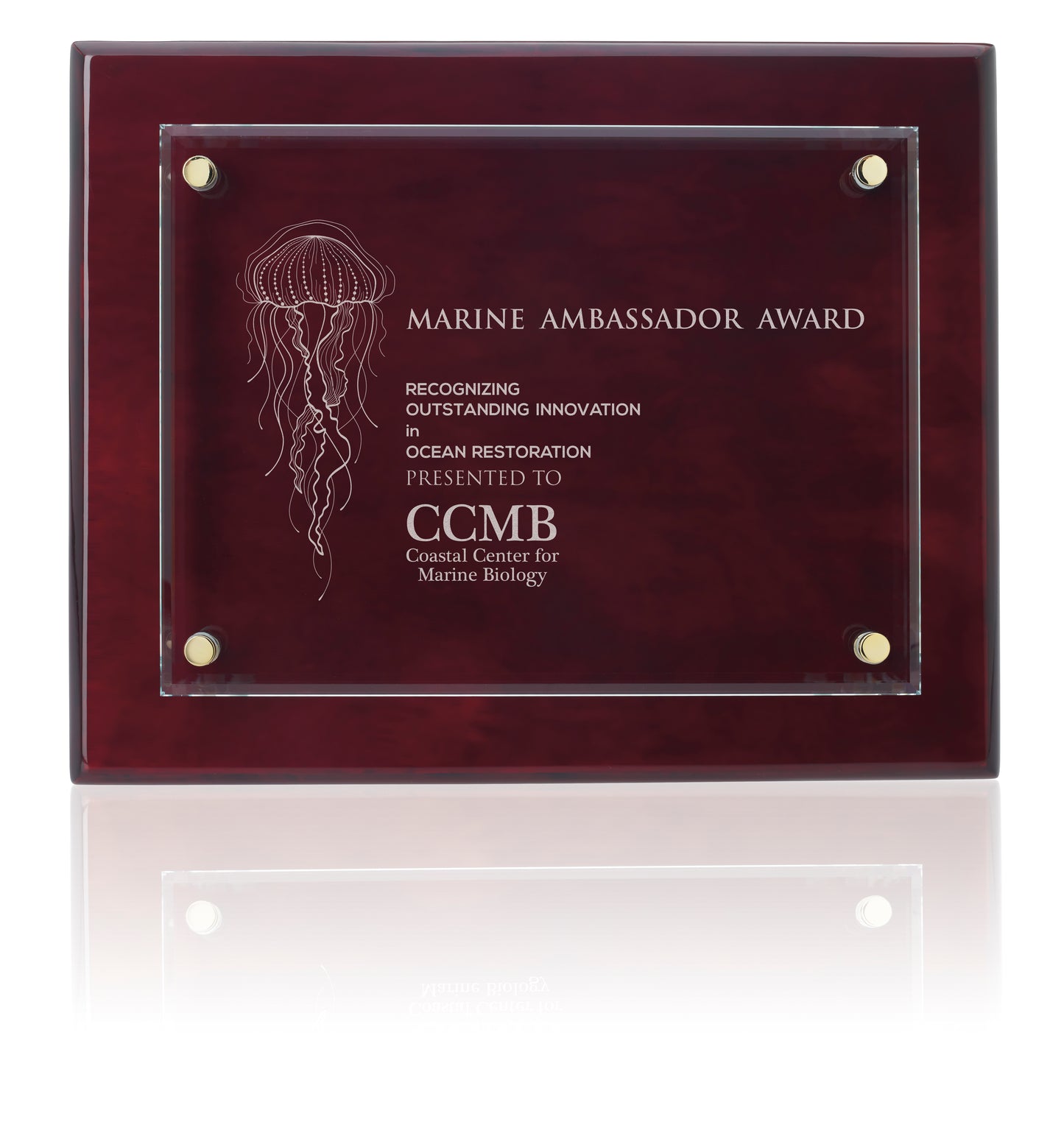 JAFFA Floating Glass Plaque  8 x 10-36800
