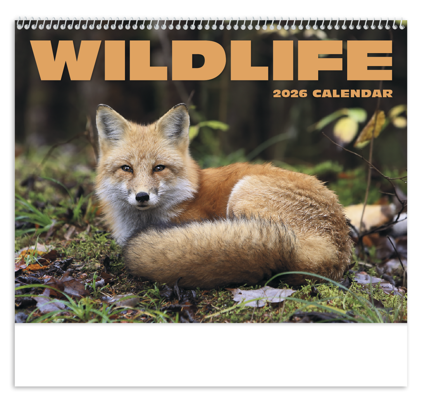 HotLine Products Wildlife Appointment Calendar Spiral-403