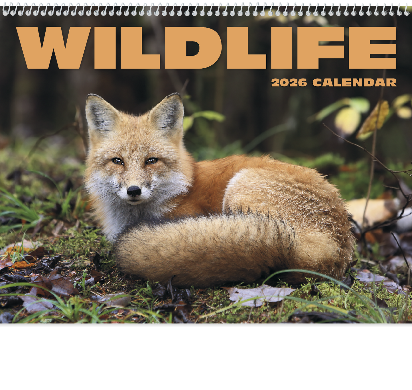 HotLine Products Wildlife Appointment Calendar Spiral-403