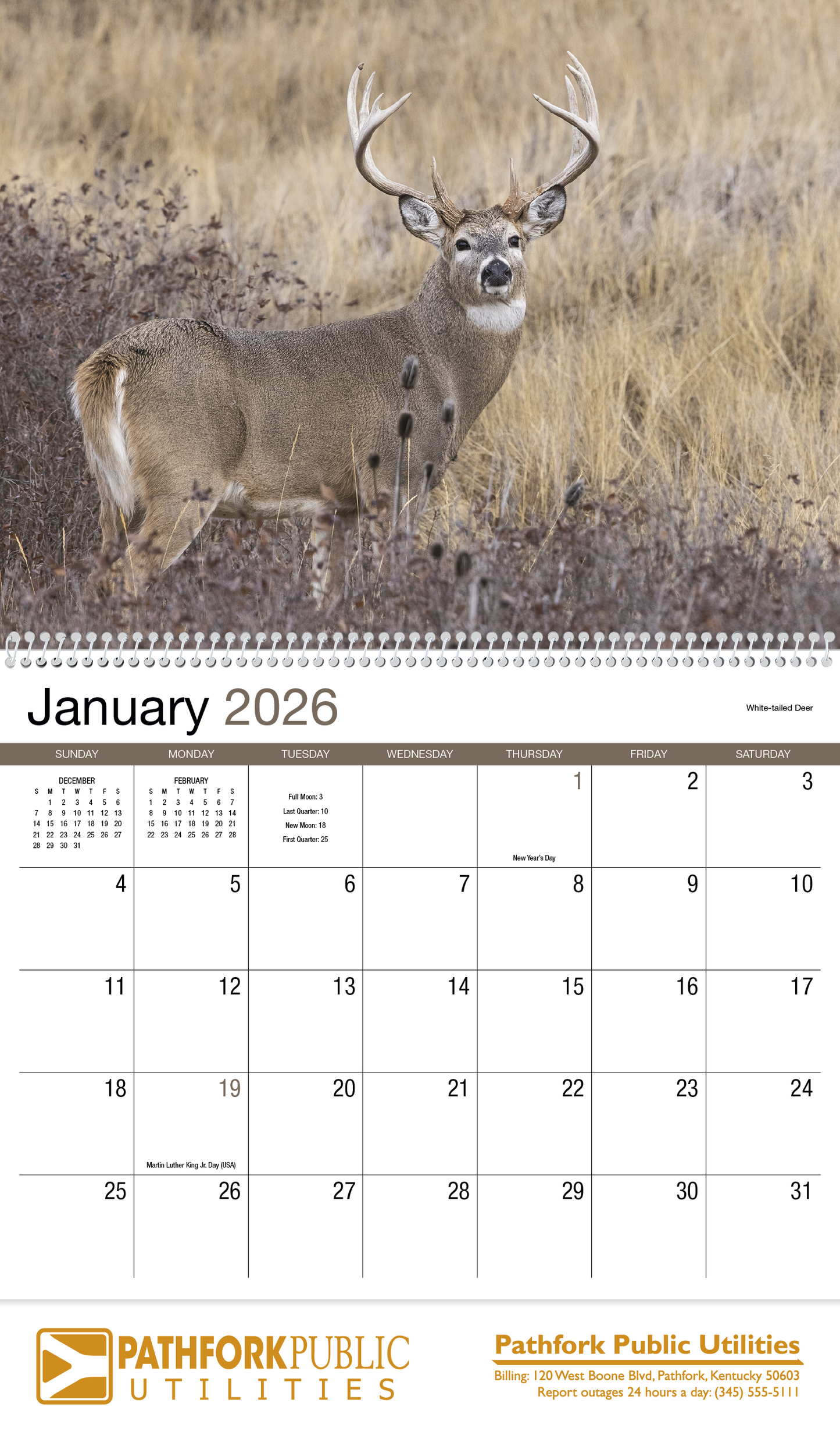 HotLine Products Wildlife Appointment Calendar Spiral-403