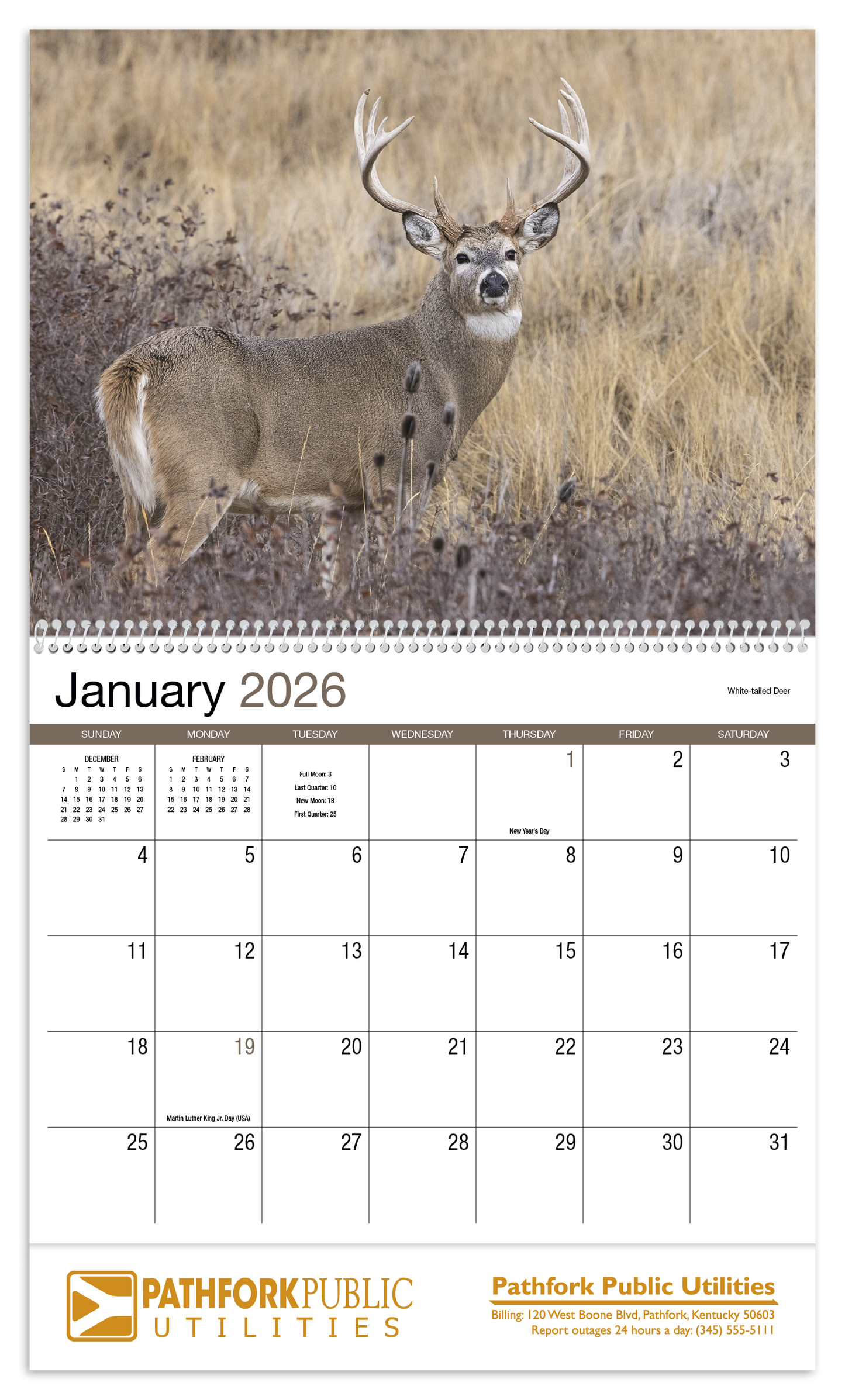 HotLine Products Norman Rockwell Appointment Calendar Spiral-402H
