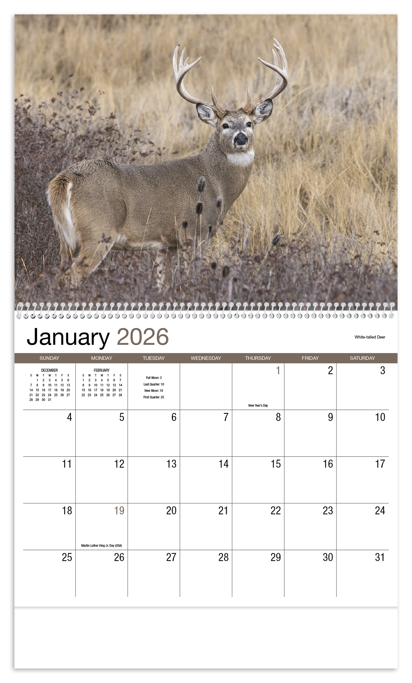 HotLine Products Norman Rockwell Appointment Calendar Spiral-402H