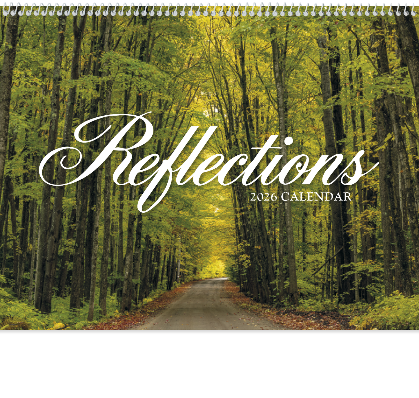 HotLine Products Reflections NonDenominational Appointment Calendar Spiral-406