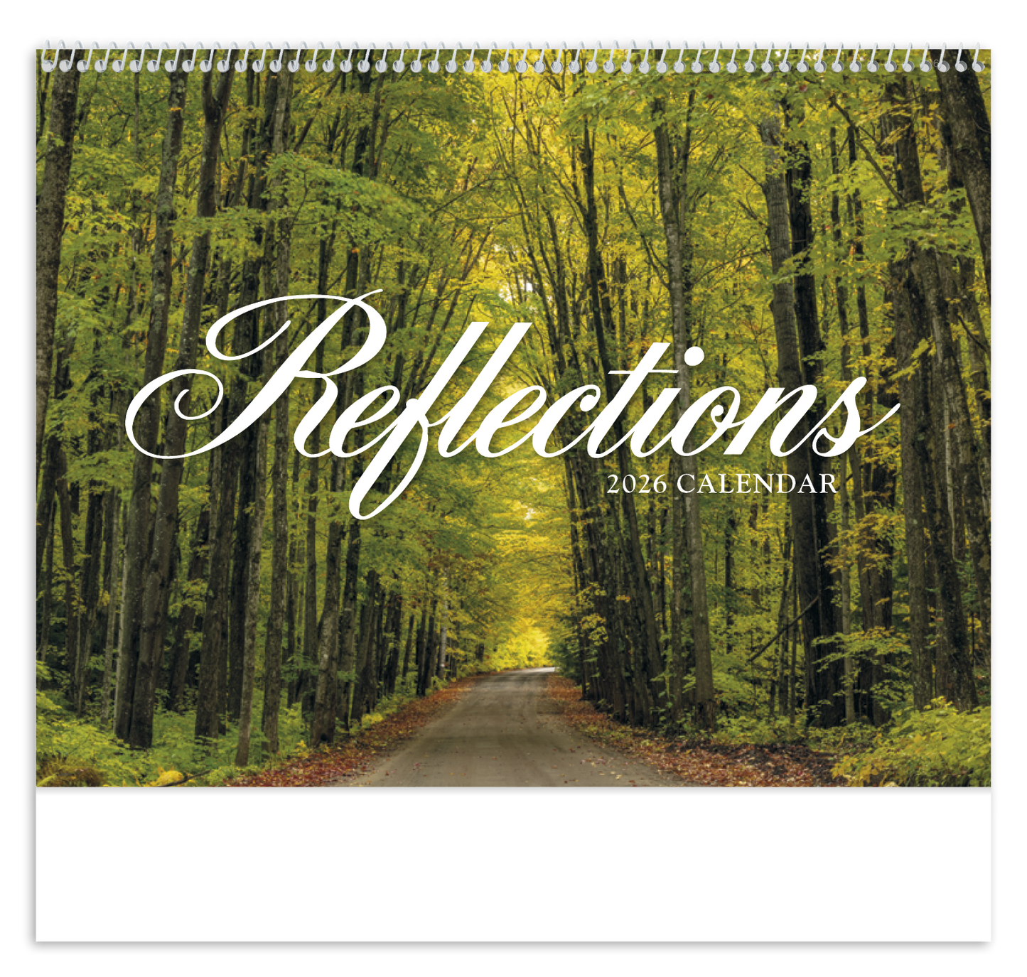 HotLine Products Reflections NonDenominational Appointment Calendar Spiral-406