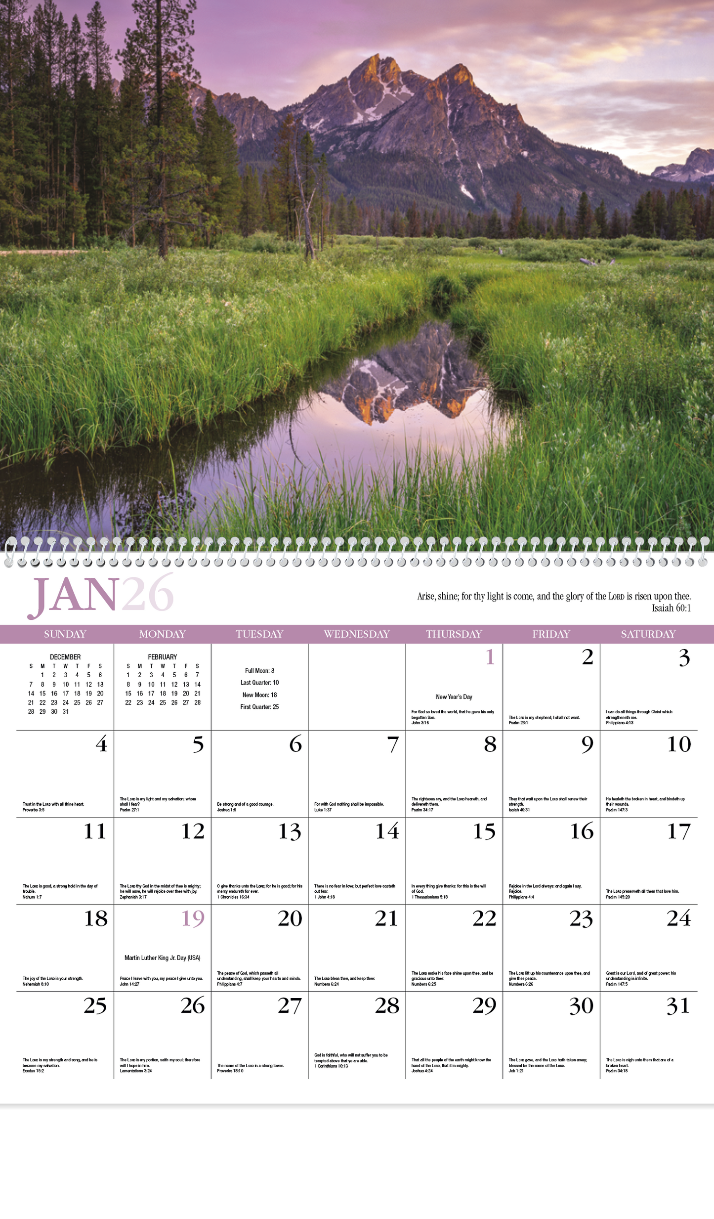 HotLine Products Reflections NonDenominational Appointment Calendar Spiral-406