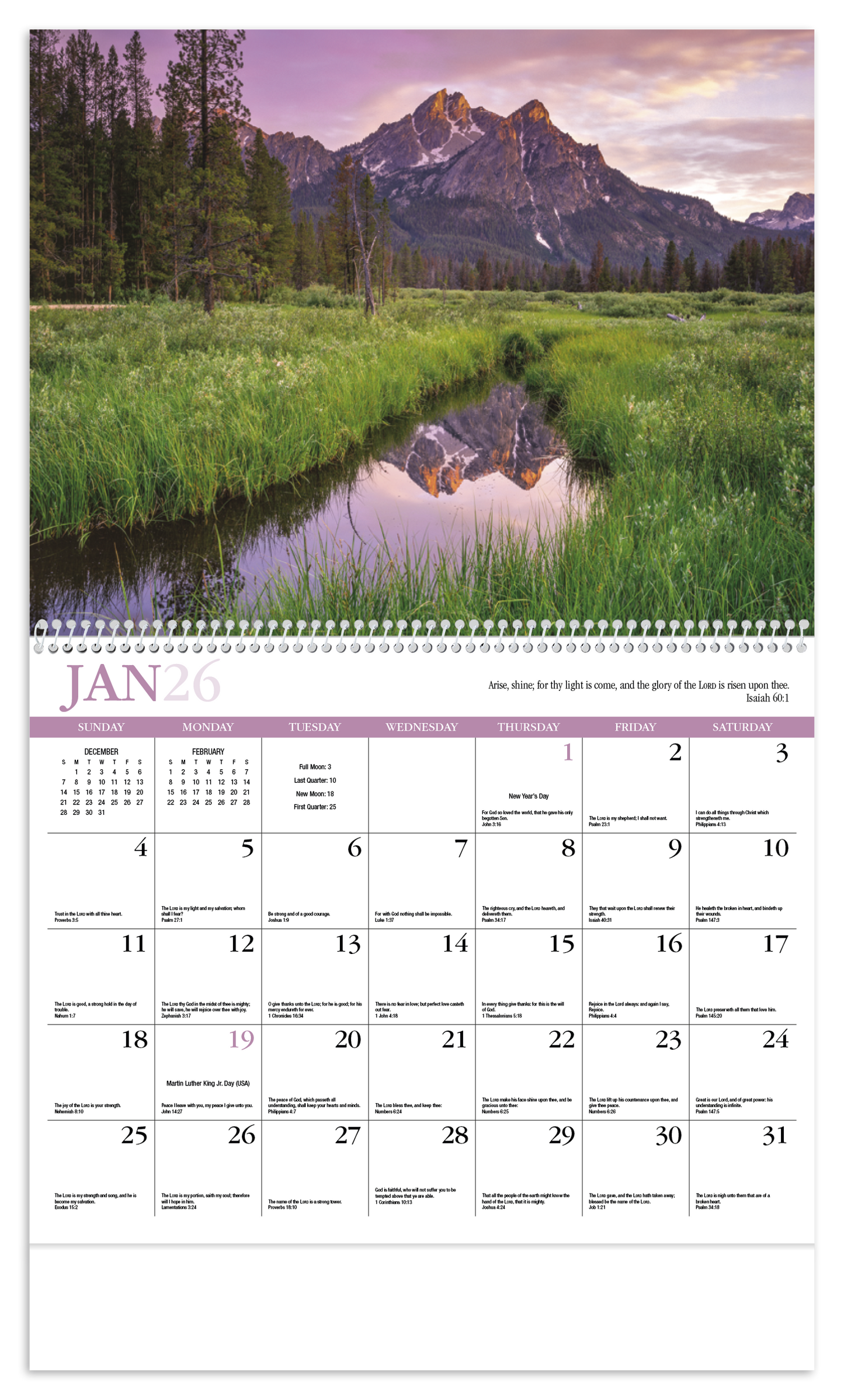 HotLine Products Reflections NonDenominational Appointment Calendar Spiral-406