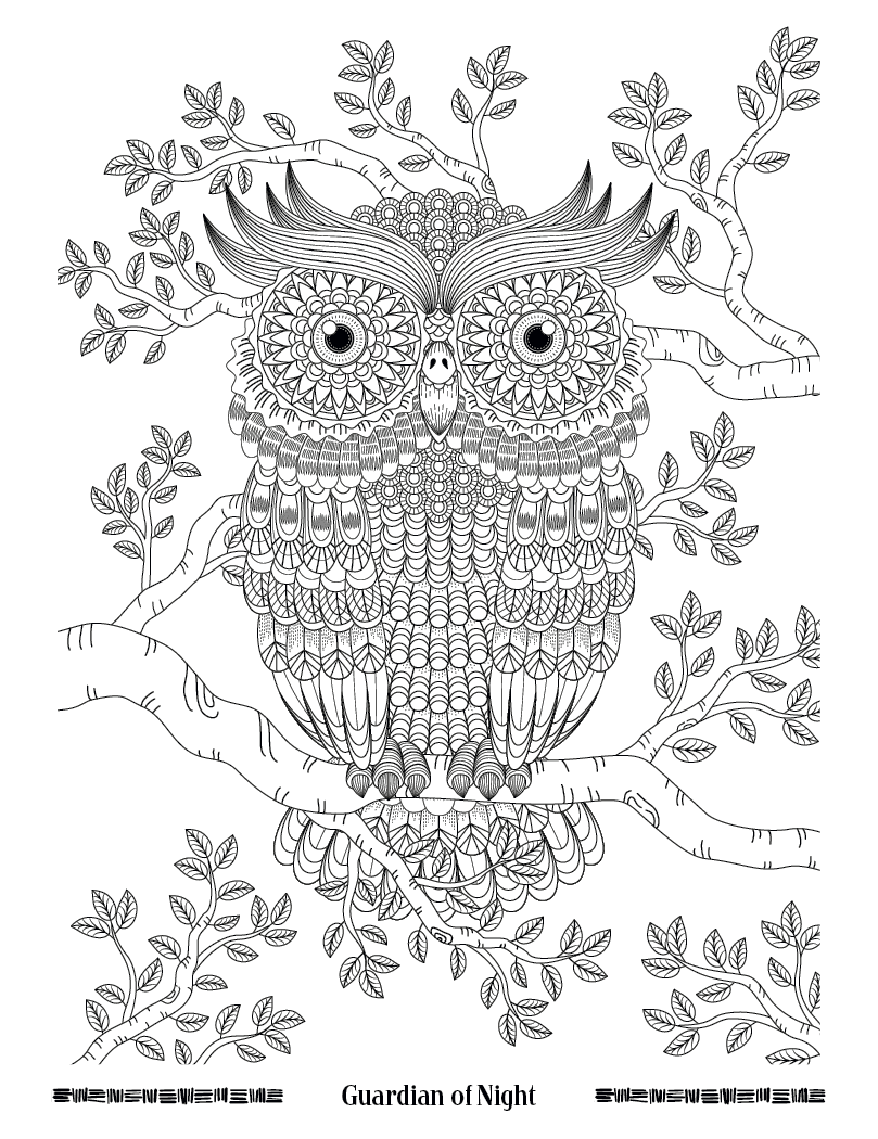 Good Value Wild Wonders Adult Coloring Book-41040