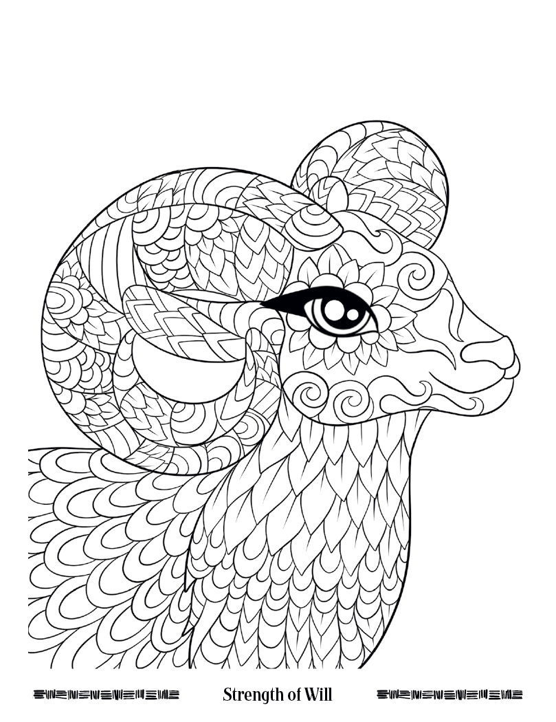 Good Value Wild Wonders Adult Coloring Book-41040