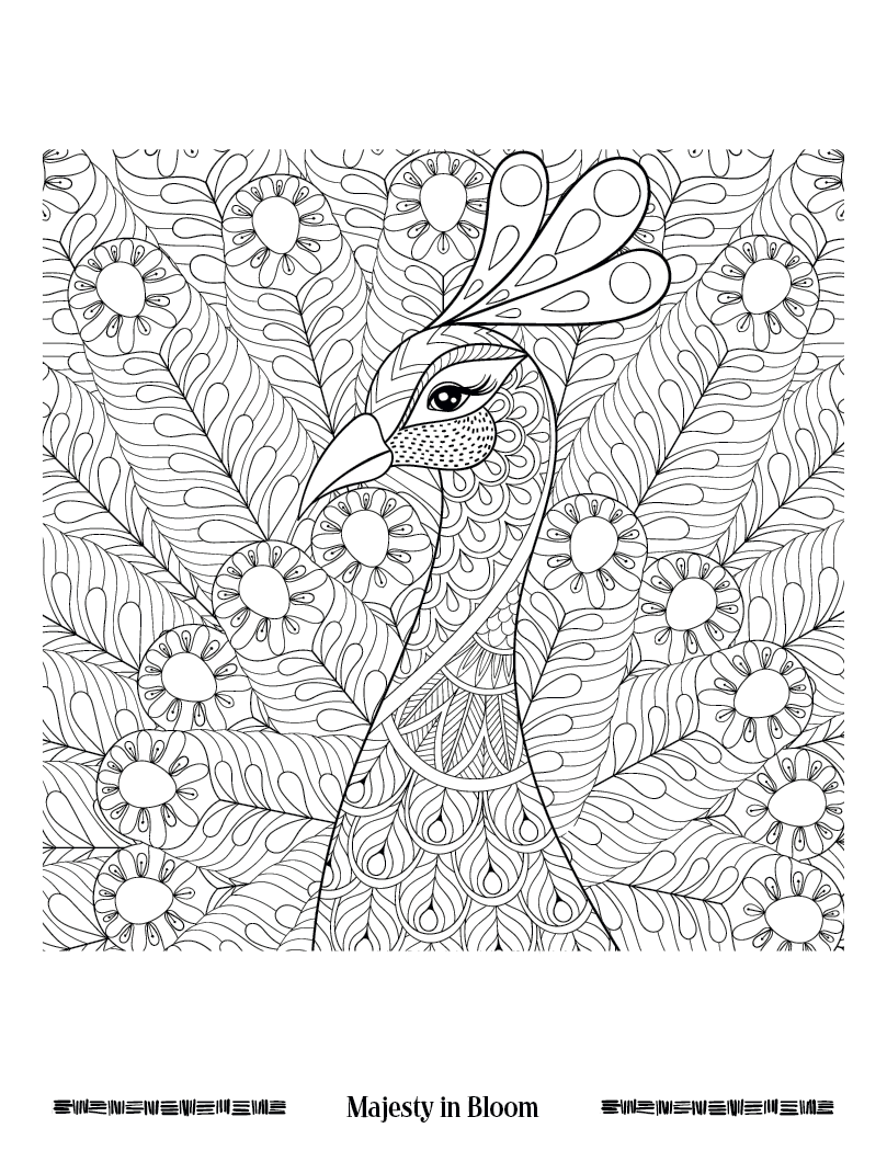 Good Value Wild Wonders Adult Coloring Book-41040