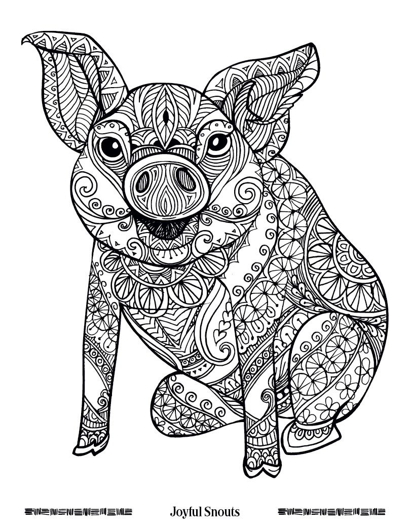 Good Value Wild Wonders Adult Coloring Book-41040