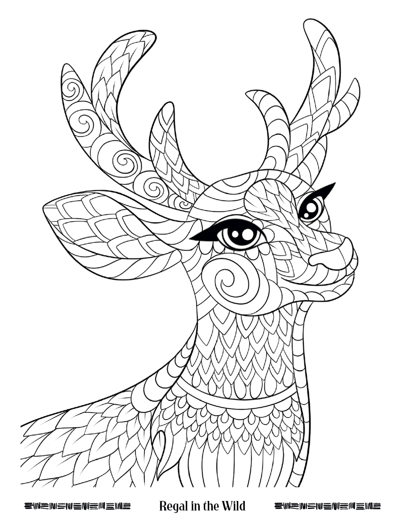 Good Value Wild Wonders Adult Coloring Book-41040