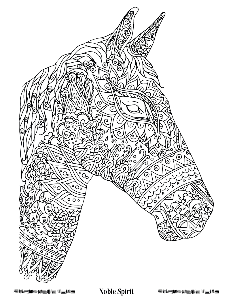 Good Value Wild Wonders Adult Coloring Book-41040