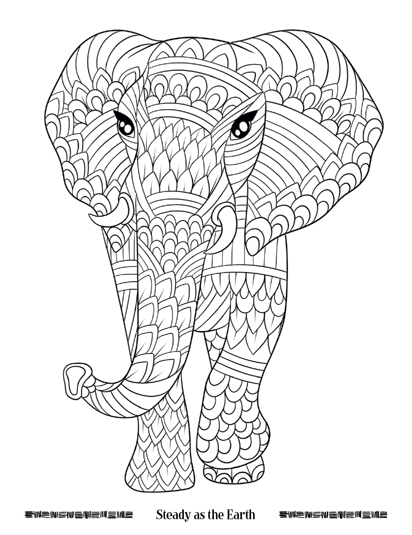 Good Value Wild Wonders Adult Coloring Book-41040