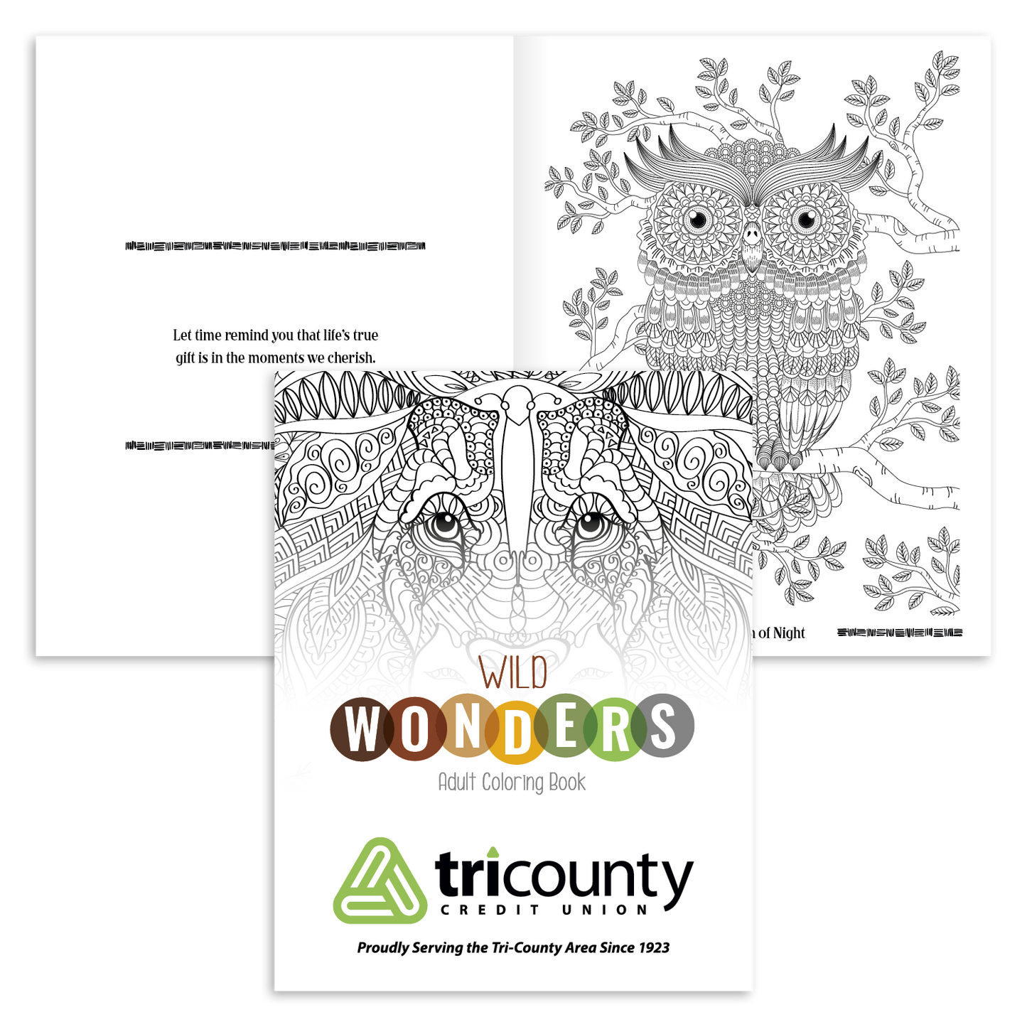 Good Value Wild Wonders Adult Coloring Book-41040