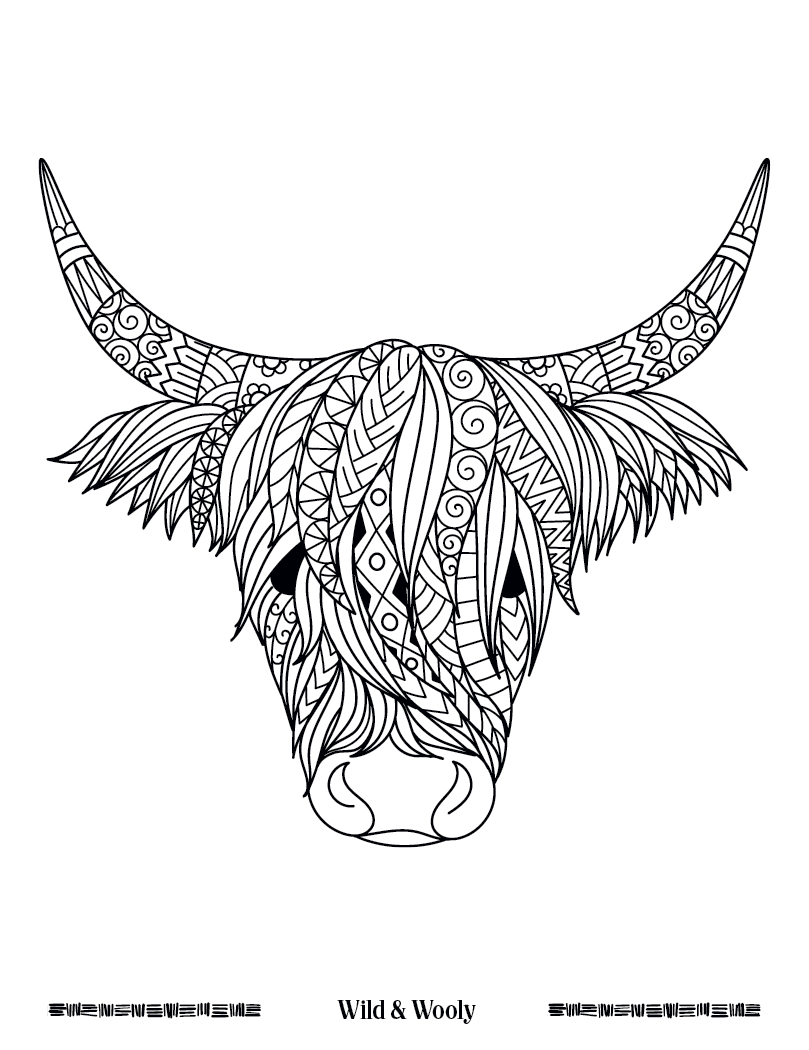 Good Value Wild Wonders Adult Coloring Book-41040