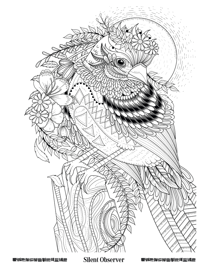 Good Value Wild Wonders Adult Coloring Book-41040