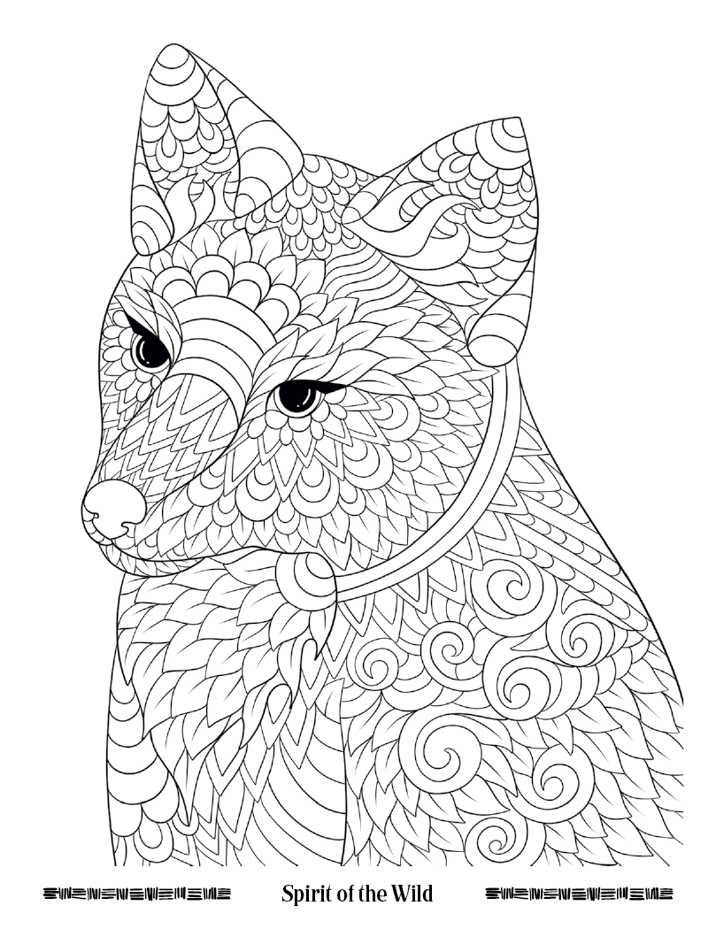 Good Value Wild Wonders Adult Coloring Book-41040