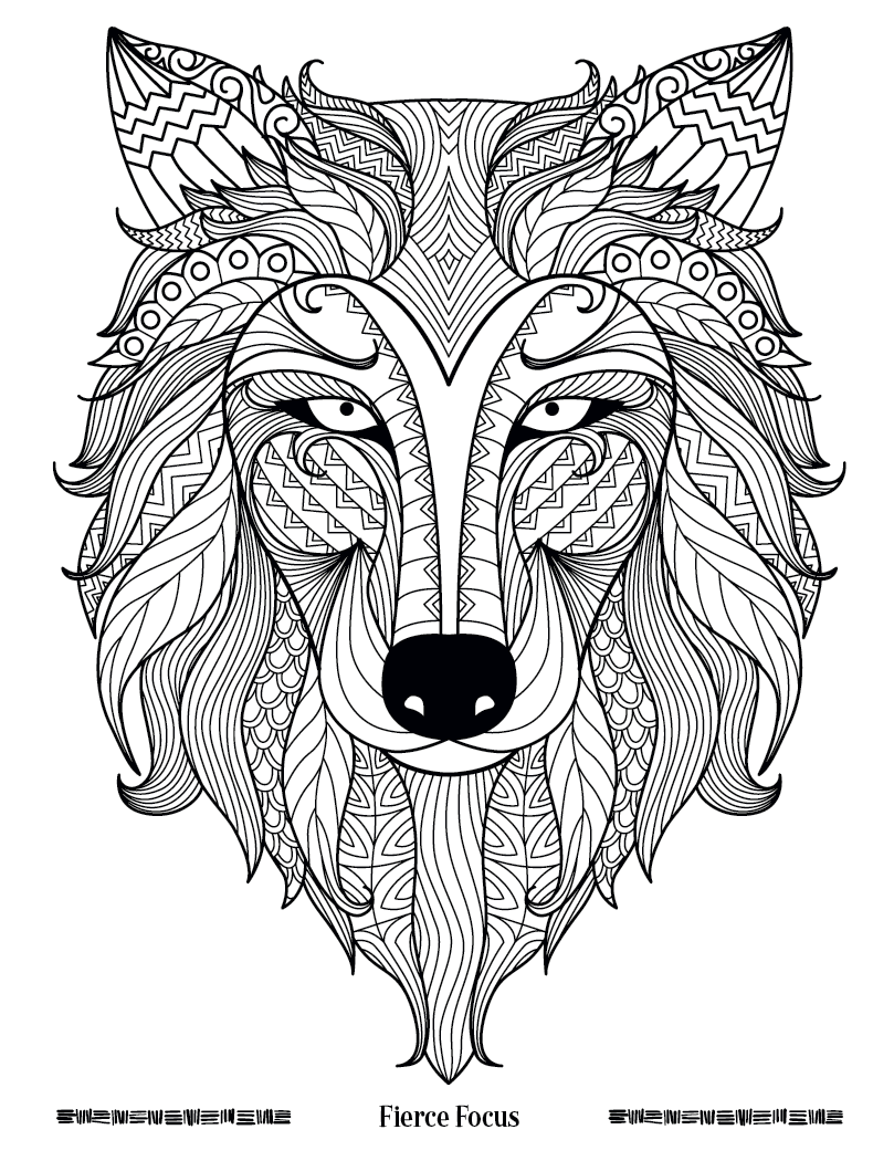 Good Value Wild Wonders Adult Coloring Book-41040