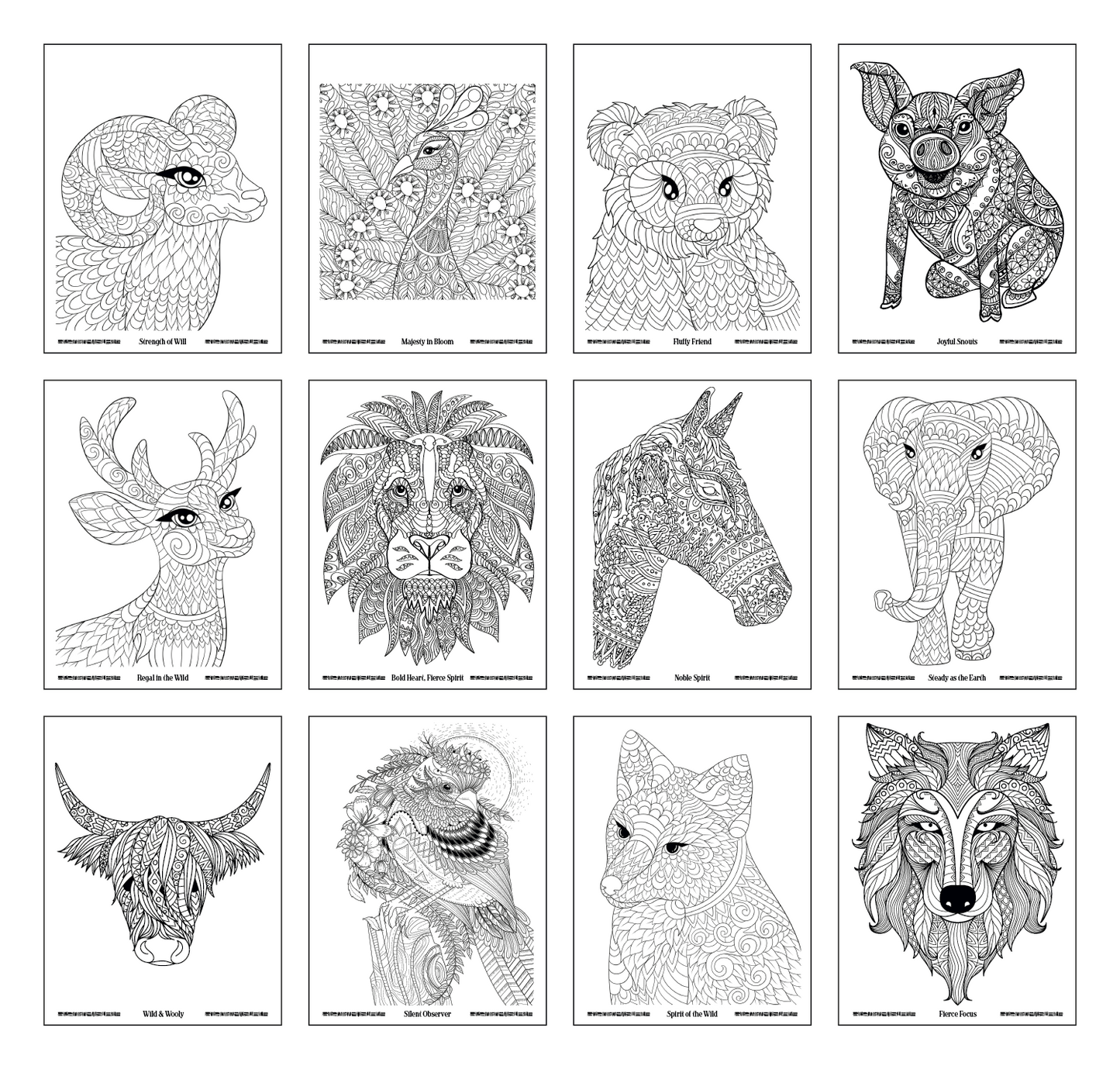 Good Value Wild Wonders Adult Coloring Book-41040