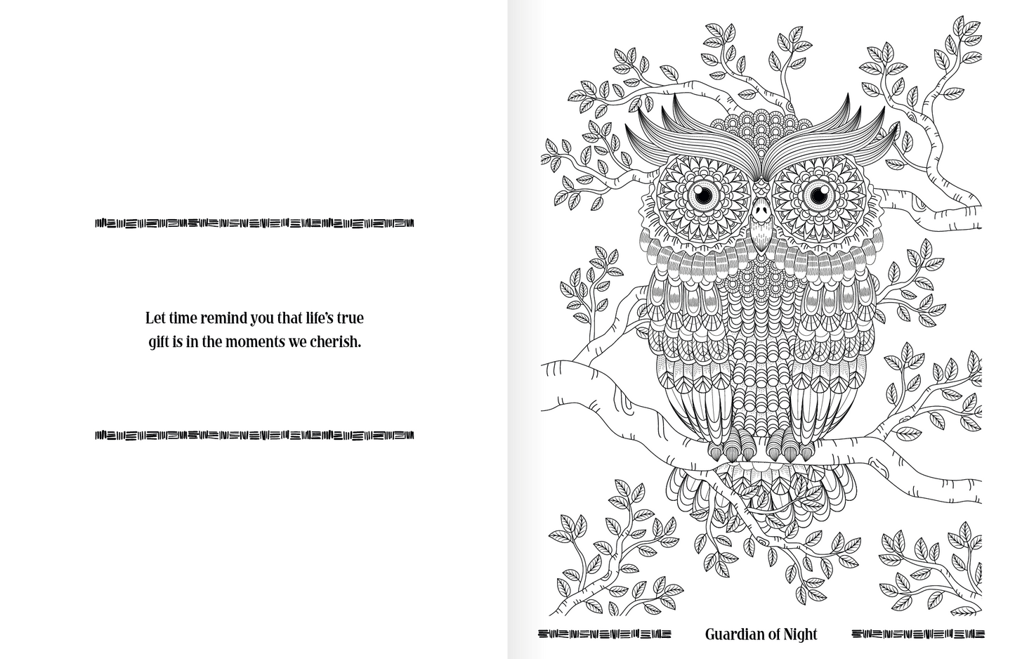Good Value Wild Wonders Adult Coloring Book-41040