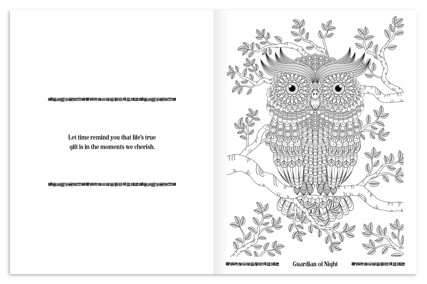 Good Value Wild Wonders Adult Coloring Book-41040