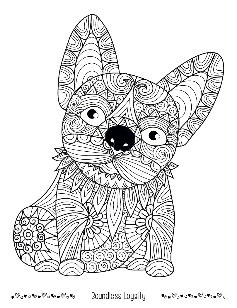 Good Value Unwind with Pets Adult Coloring Book-41269