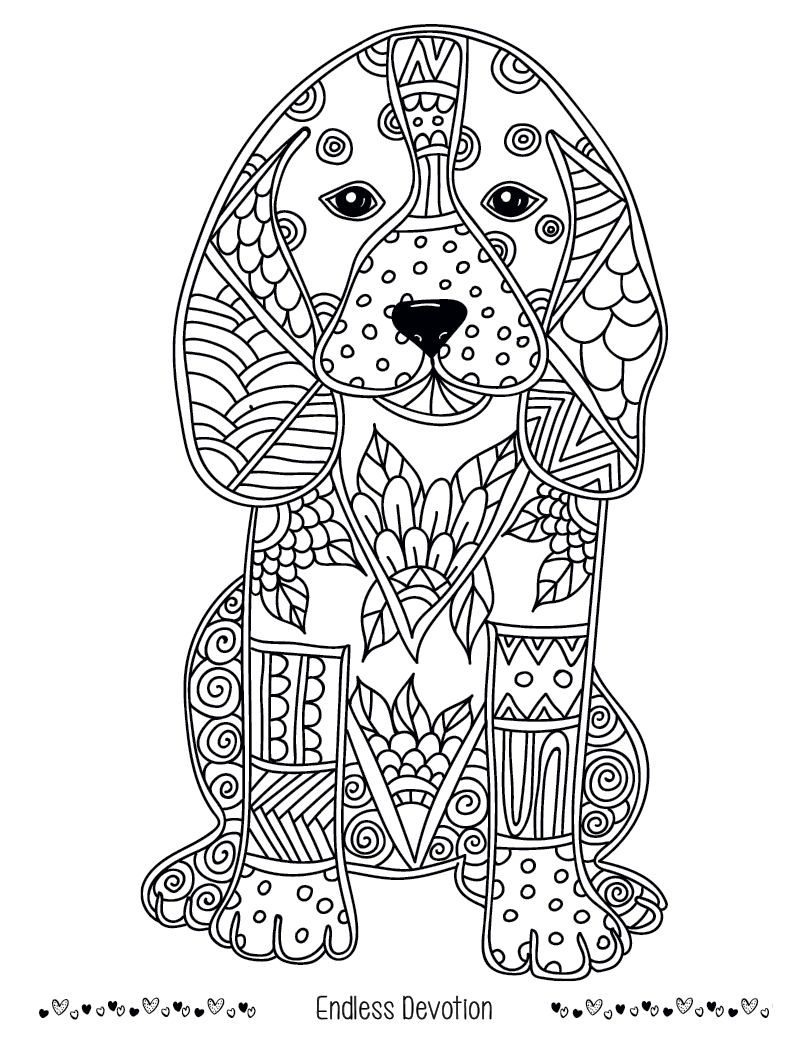 Good Value Unwind with Pets Adult Coloring Book-41269