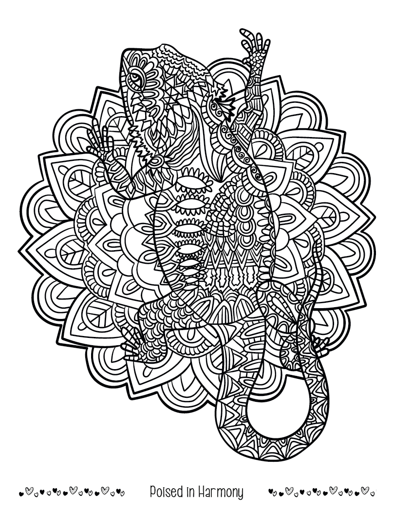 Good Value Unwind with Pets Adult Coloring Book-41269