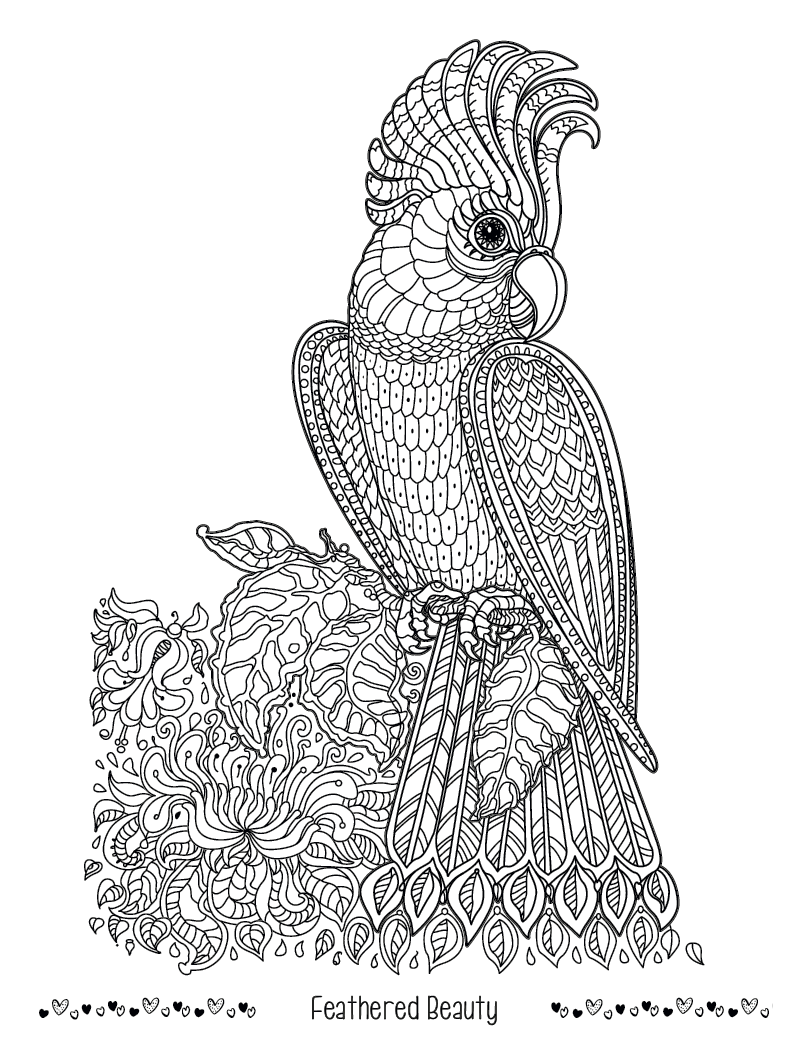 Good Value Unwind with Pets Adult Coloring Book-41269