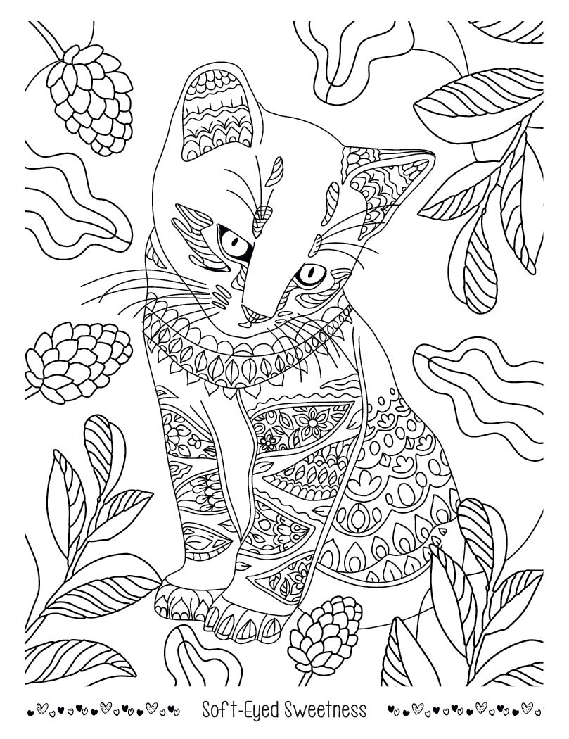 Good Value Unwind with Pets Adult Coloring Book-41269