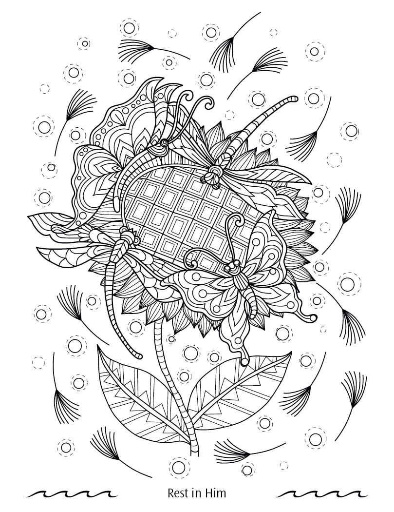 Good Value Faithful Reflections Adult Coloring Book-41281