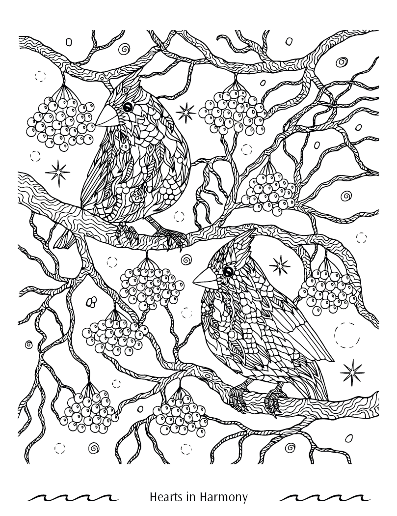 Good Value Faithful Reflections Adult Coloring Book-41281